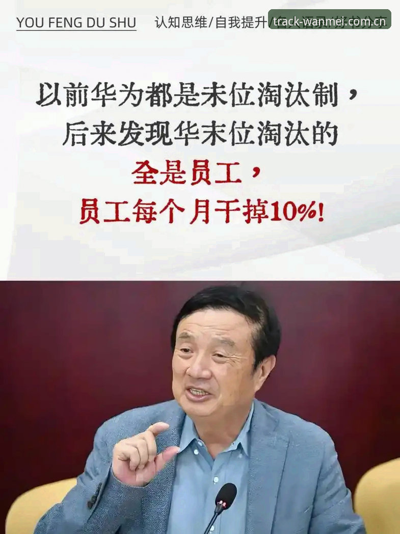完美体育手机中国官网安全吗 完美体育平台避坑指南:手机中国官网安不安全,这篇说透